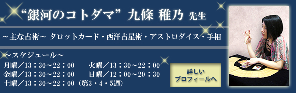 九條稚乃先生