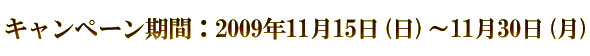 １周年記念・特別キャンペーンのご案内